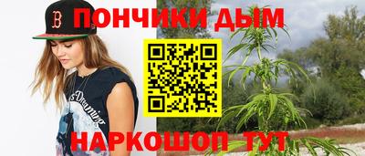 сатива Лесосибирск