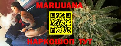 сатива Лесосибирск